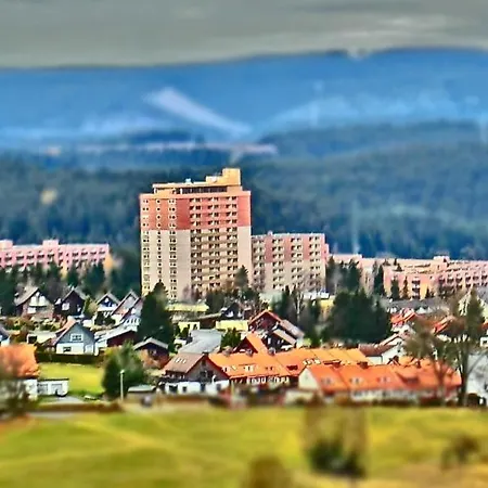 Eisblume. Erholung Im Wunderschoenem Harz! Apartmán Altenau (Lower-Saxony)
