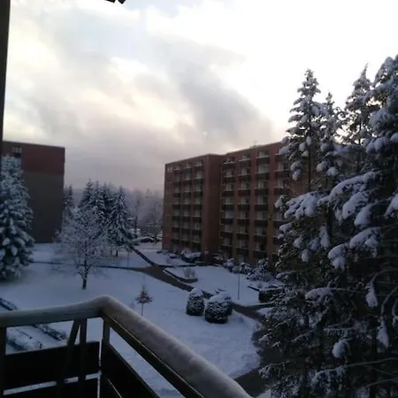 Appartement Eisblume. Erholung Im Wunderschoenem Harz! *